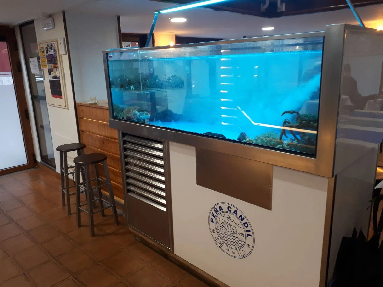 Acuario expositor iluminado en azul junto a una barra y taburetes