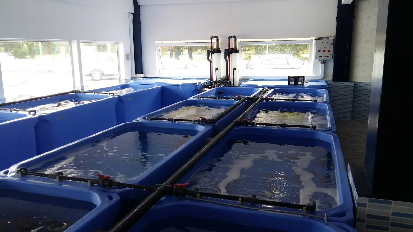 Dos filas de depósitos azules con agua y equipos al fondo de una sala