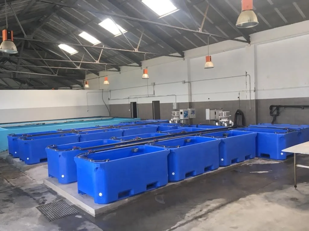 Filas de depósitos azules en una nave de almacenamiento