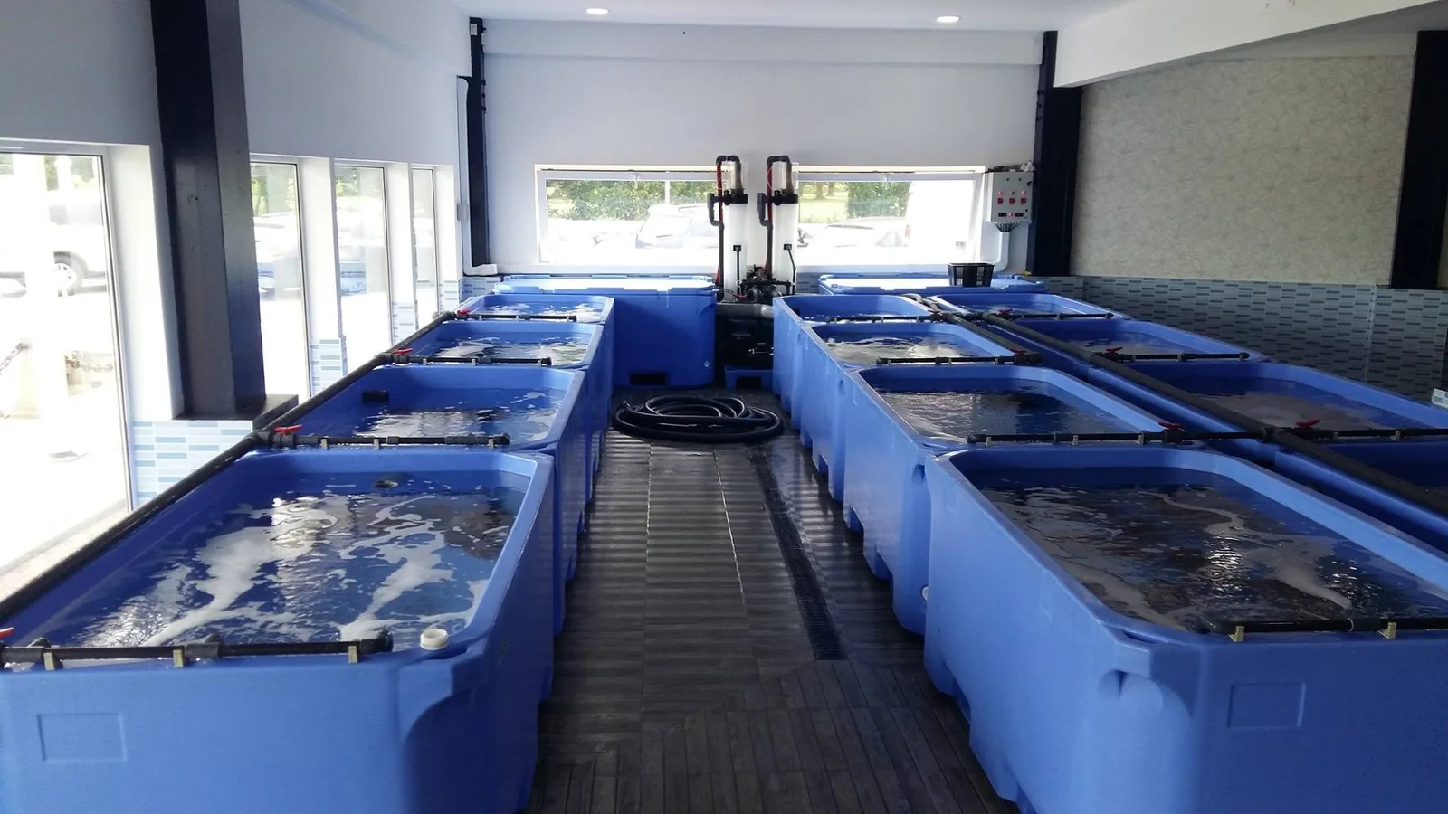Pasillo central entre dos filas de depósitos azules con agua