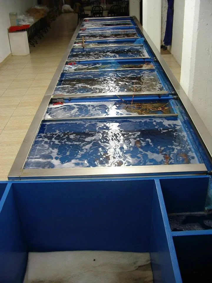 Fila de depósitos azules con agua en movimiento y divisiones transversales
