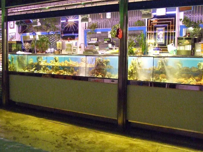 Fila de acuarios iluminados con plantas y peces en un local