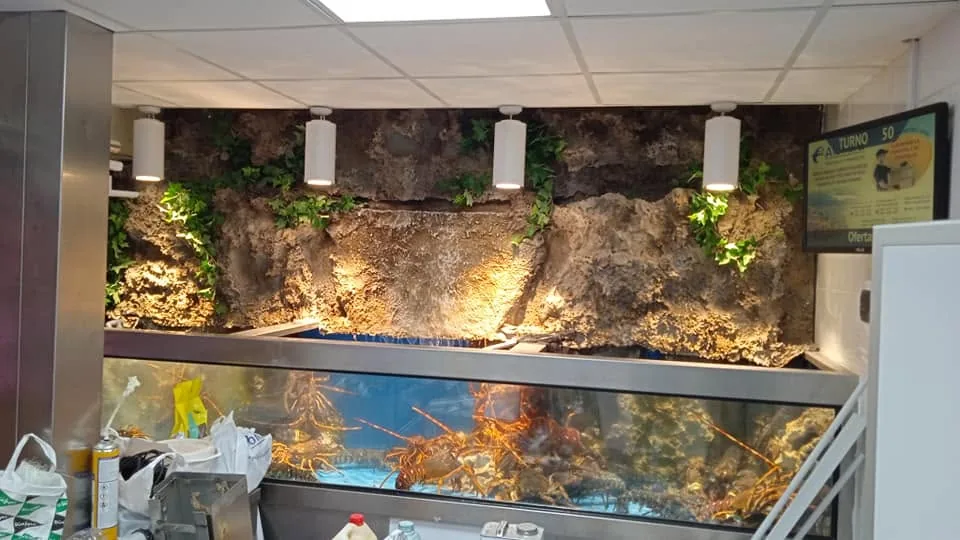 Vivero con crustáceos situado bajo un fondo decorativo de roca e iluminación