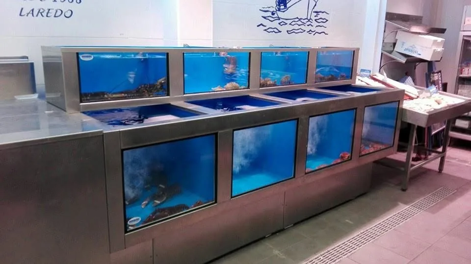 Viveros de cristal distribuidos en dos niveles en una pescadería